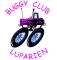 Accès au site web Buggy Club Luparien